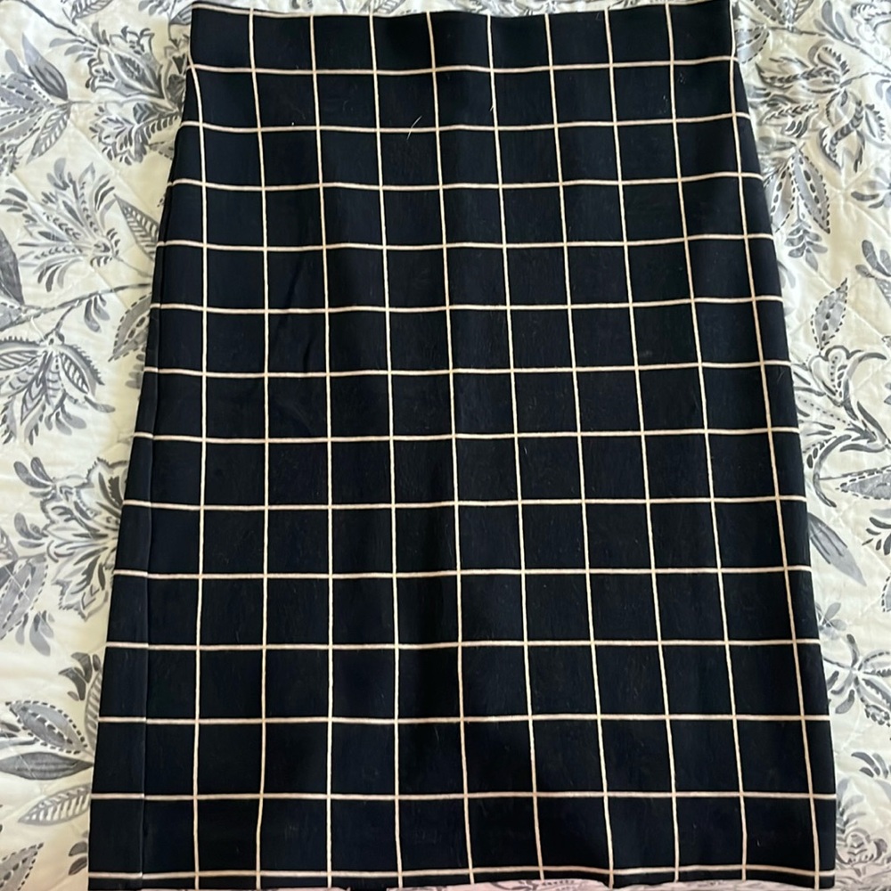 Ann Taylor Skirt